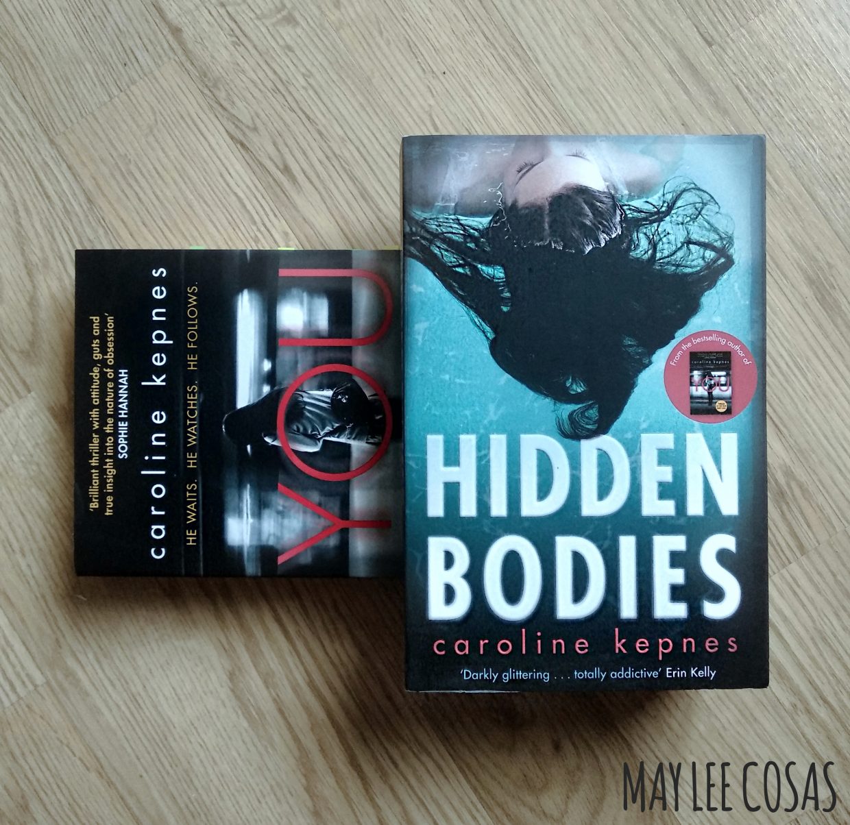 you hidden bodies book