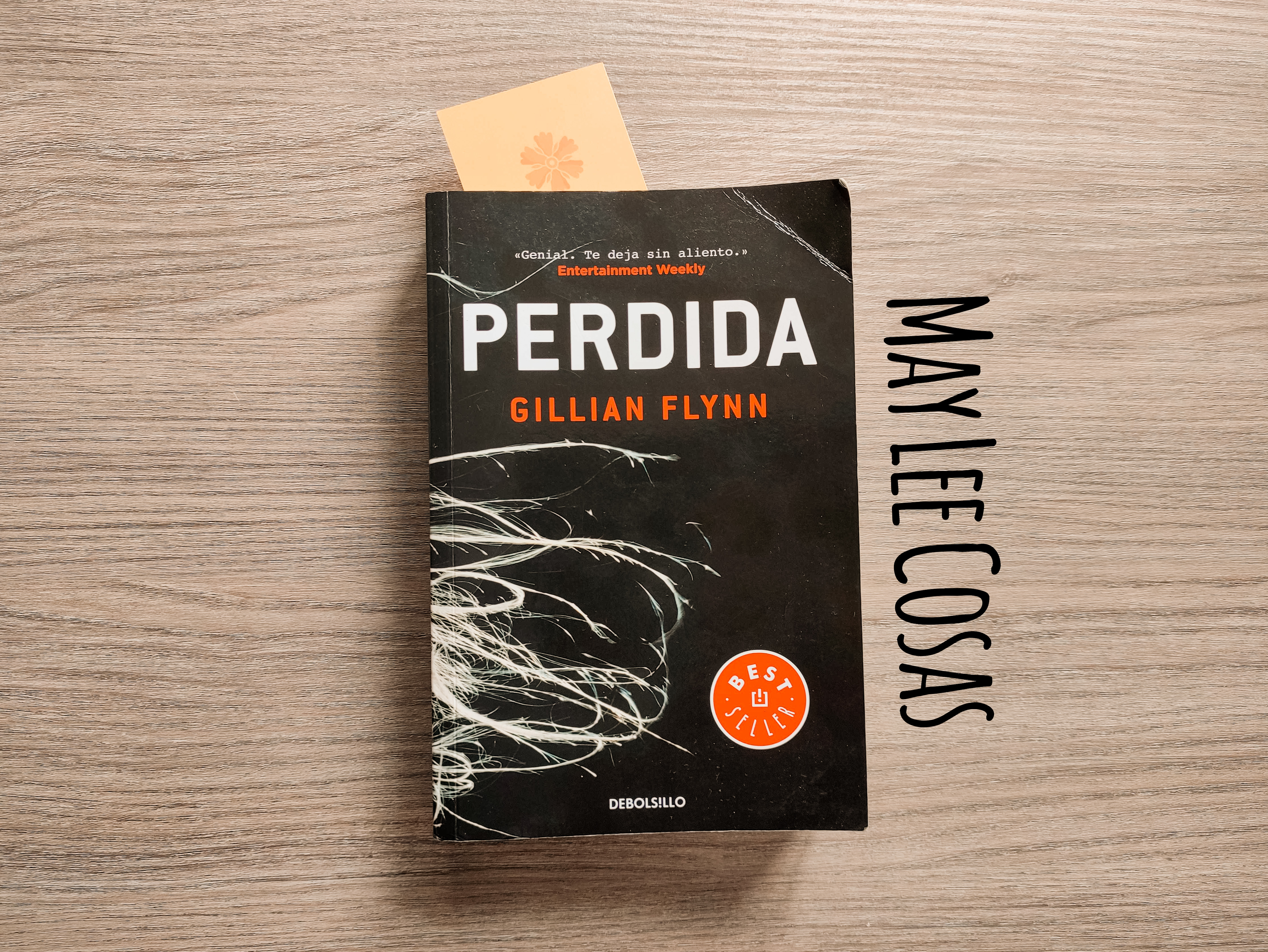 Perdida: libro vs película